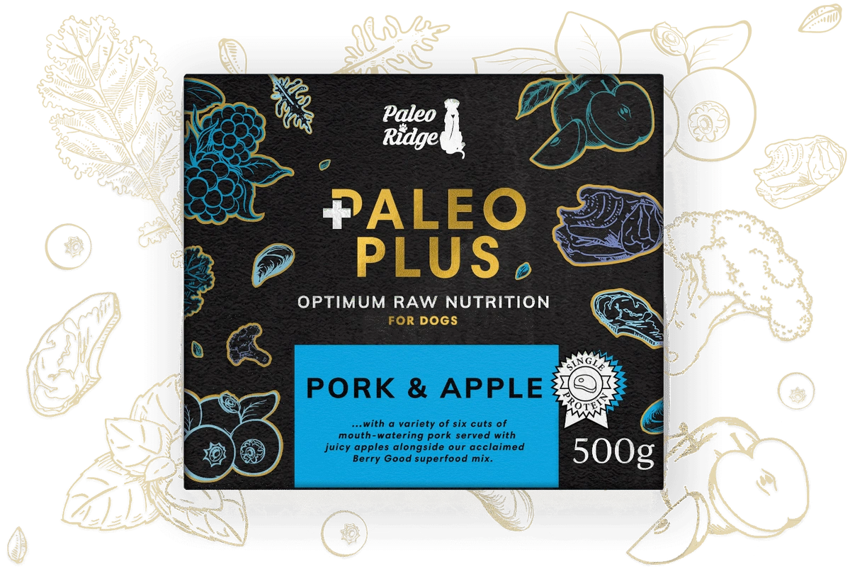 Paleo Ridge Raw - Paleo Plus Pork and Apple - 500g