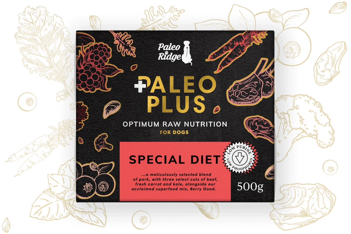 Paleo Plus Special Diet - 500g